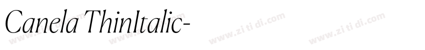 Canela ThinItalic字体转换